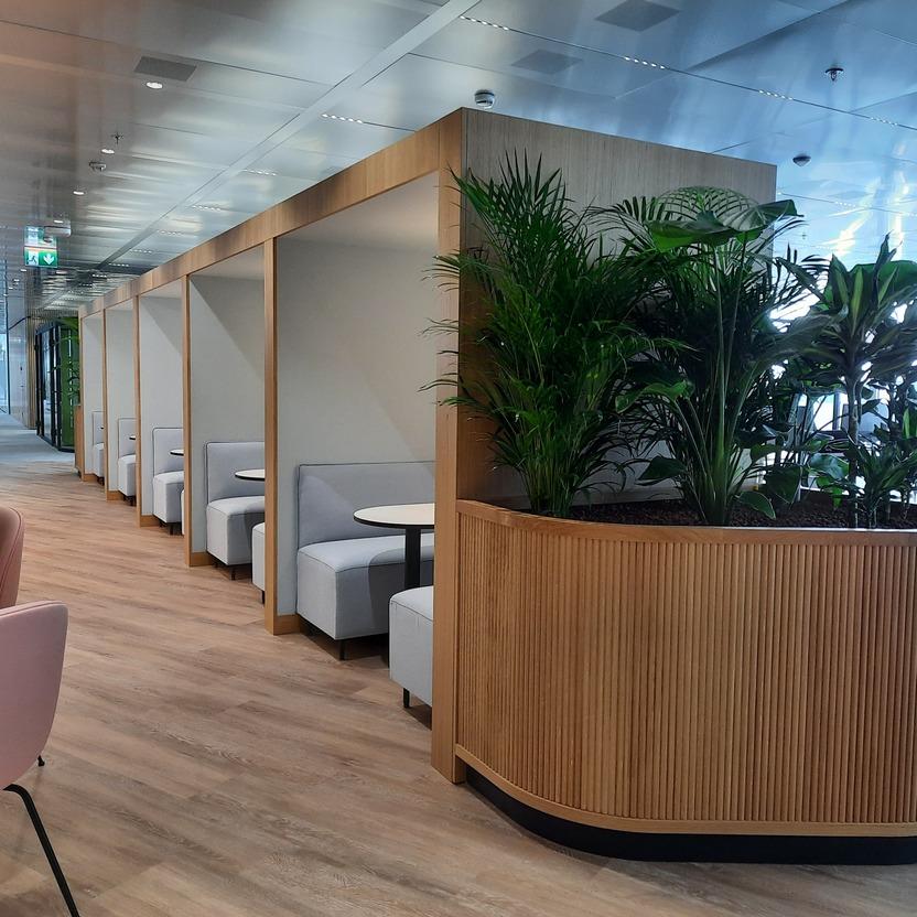 Geräumiger Bürobereich mit Sitznischen, Holzakzenten und großen Grünpflanzen.