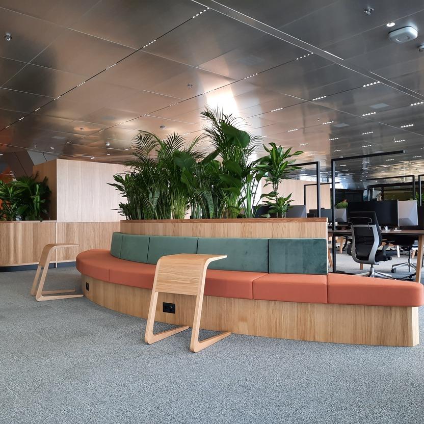 Ein heller Loungebereich im Büro mit gepolsterten Sitzbänken, Pflanzen und offener Arbeitsplatzgestaltung.