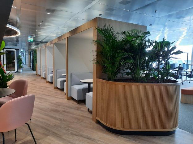 Moderne B&uuml;rolandschaft mit Holz-Elementen, Pflanzen und gem&uuml;tlichen Sitznischen entlang eines hellen Flurs.